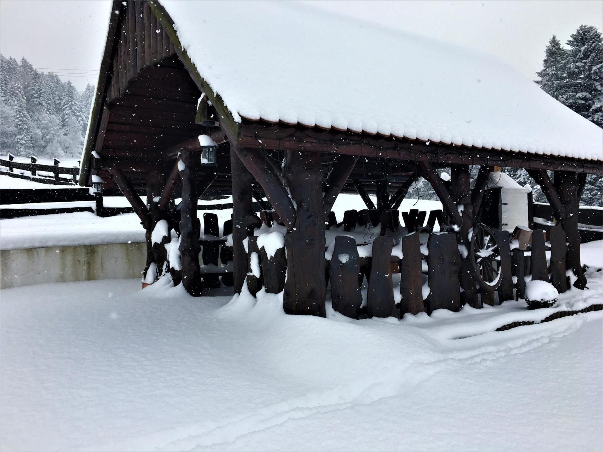 Willa Podgórska Korbielów Exteriör bild